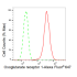 KD-Validated OXGR1 Rabbit mAb (20 μl)