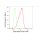 KD-Validated QKI Rabbit mAb (20 μl)