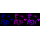 KD-Validated RAD51 Rabbit mAb (20 μl)