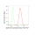 KD-Validated SMS Rabbit mAb (20 μl)