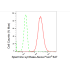 KD-Validated SMS Rabbit mAb (20 μl)