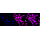 KD-Validated SMS Rabbit mAb (20 μl)