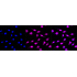 KD-Validated SYPL1 Rabbit mAb (20 μl)