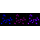 KD-Validated TRIB3 Rabbit mAb (20 μl)