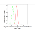 KD-Validated TRIP10 Rabbit mAb (20 μl)