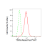 KD-Validated TSFM Rabbit mAb (20 μl)