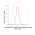 KD-Validated VASP Rabbit mAb (20 μl)