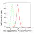 KD-Validated WDR1 Rabbit mAb (20 μl)