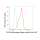 KD-Validated TARDBP Rabbit mAb (20 μl)