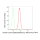 KD-Validated ACAT2 Rabbit mAb (20 μl)