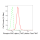 KD-Validated Phospho-PKCA (T497) Rabbit mAb (20 μl)