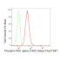 KD-Validated Phospho-PKCA (T497) Rabbit mAb (20 μl)