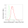 KD-Validated HDAC1 Rabbit mAb (20 μl)