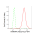 KD-Validated HNRNPK Rabbit mAb (20 μl)