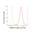 KD-Validated HNRNPK Rabbit mAb (20 μl)