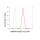 KD-Validated HNRNPM Rabbit mAb (20 μl)