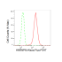 KD-Validated HNRNPM Rabbit mAb (20 μl)