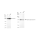 KD-Validated KATNA1 Rabbit mAb (20 μl)