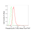 KD-Validated Phospho-p38 (T180) Rabbit mAb (20 μl)