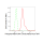 KD-Validated Phospho-PBK (Thr9) Rabbit mAb (20 μl)