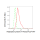 KD-Validated RPA1 Rabbit mAb (20 μl)