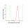 KD-Validated Ku70 Rabbit mAb (20 μl)