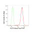 KD-Validated Ku70 Rabbit mAb (20 μl)