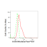 KD-Validated CCDC98 Rabbit mAb (20 μl)
