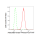 KD-Validated AK4 Rabbit mAb (20 μl)