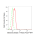 KD-Validated BACE1 Rabbit mAb (20 μl)