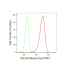 KD-Validated CD276 Rabbit mAb (20 μl)