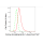 KD-Validated CSF1 Rabbit mAb (20 μl)