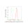 KD-Validated CTBP2 Rabbit mAb (20 μl)