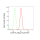 KD-Validated DCP1A Rabbit mAb (20 μl)