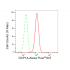 KD-Validated DCP1A Rabbit mAb (20 μl)