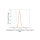 KD-Validated DGAT1 Rabbit mAb (20 μl)