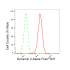 KD-Validated DNM2 Rabbit mAb (20 μl)