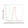 KD-Validated DPP3 Rabbit mAb (20 μl)