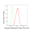 KD-Validated DPP3 Rabbit mAb (20 μl)