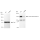 KD-Validated DROSHA Rabbit mAb (20 μl)