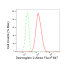 KD-Validated DSG2 Rabbit mAb (20 μl)