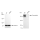 KD-Validated DSP Rabbit mAb (20 μl)