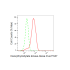 KD-Validated DTYMK Rabbit mAb (20 μl)