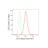 KD-Validated DUT Rabbit mAb (20 μl)
