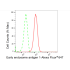 KD-Validated EEA1 Rabbit mAb (20 μl)