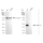 KD-Validated Ephrin A1 Rabbit mAb (20 μl)