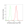 KD-Validated EIF2AK4 Rabbit mAb (20 μl)