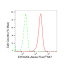 KD-Validated EIF2AK4 Rabbit mAb (20 μl)