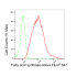 KD-Validated FASN Rabbit mAb (20 μl)