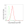KD-Validated GCLM Rabbit mAb (20 μl)